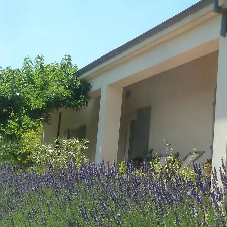 Bed & Breakfast Ronce Sous Le Figuier